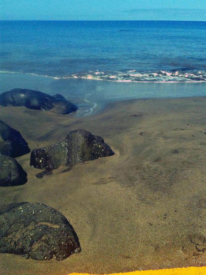 Apartamento A 1 Minuto De La Playa De Sardina Las Palmas de Gran Canaria Exteriör bild